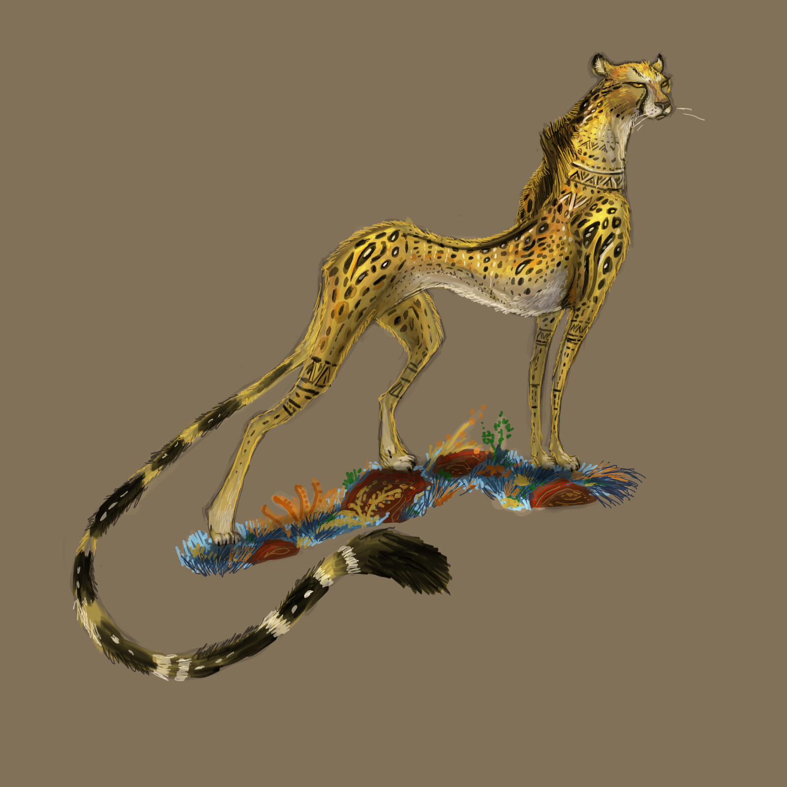 Coline Mesplou making of the Cheetah from Lion short movie