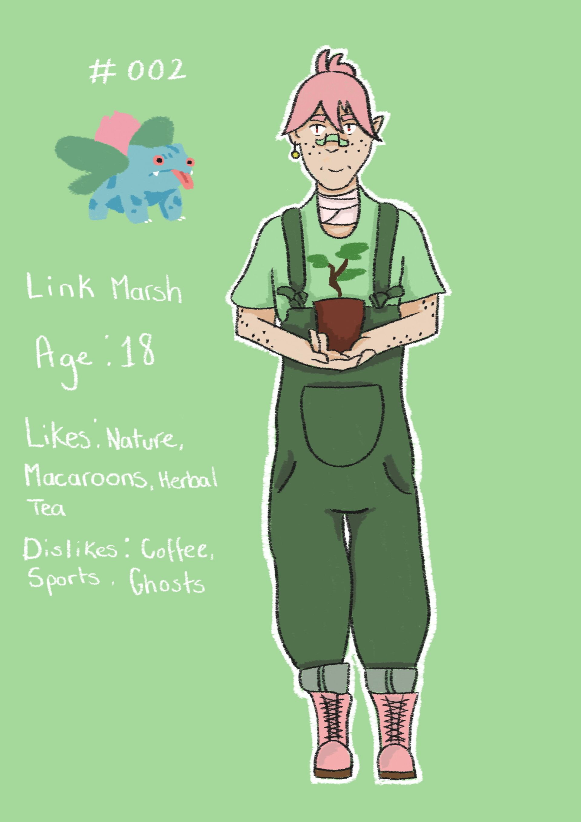 Katie Hall - Link,Flint and Samson pokemon gijinka.