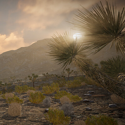 Skye nelson sunset through the yucca