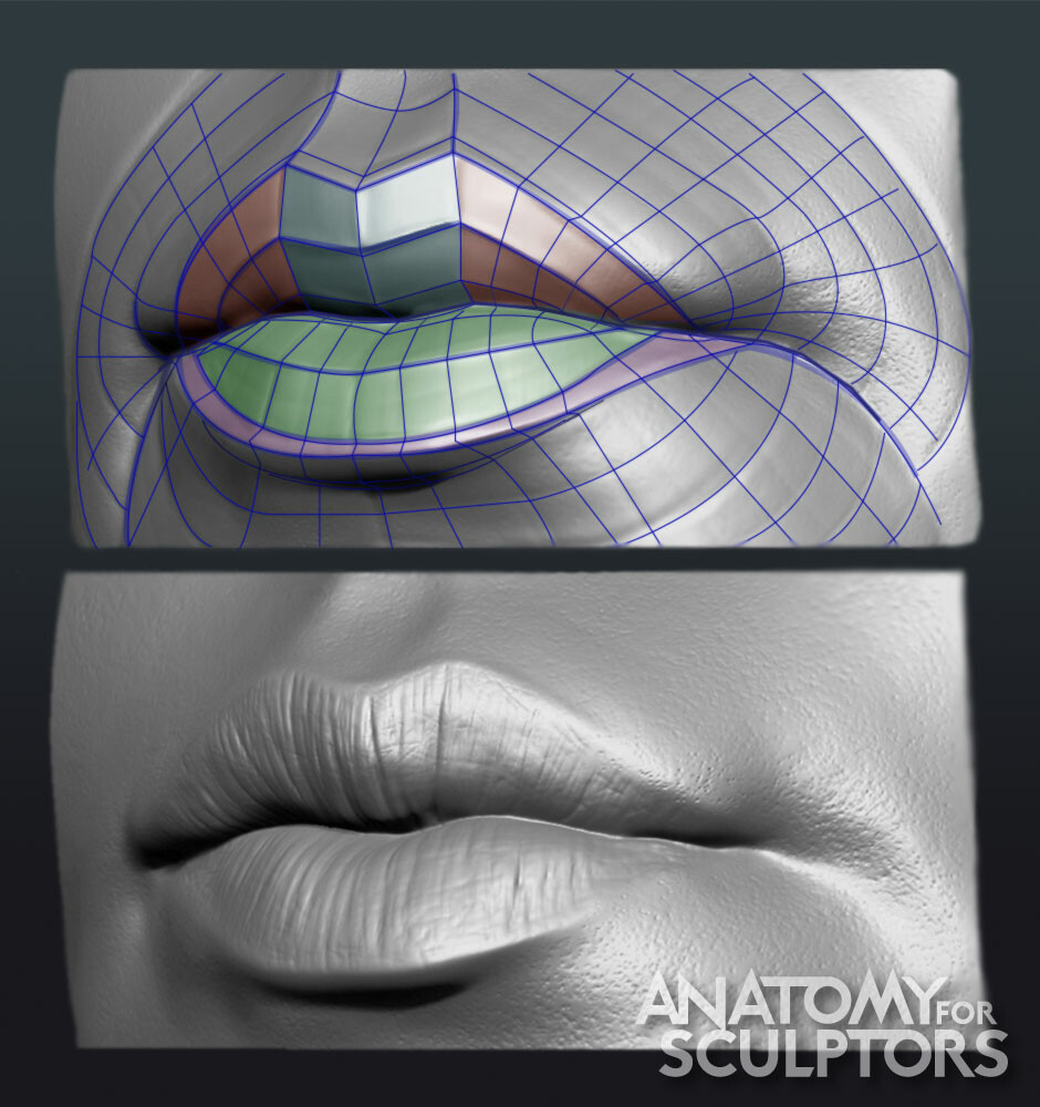 Lips