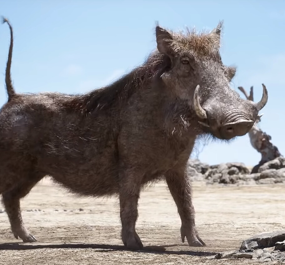 pumbaa 2019
