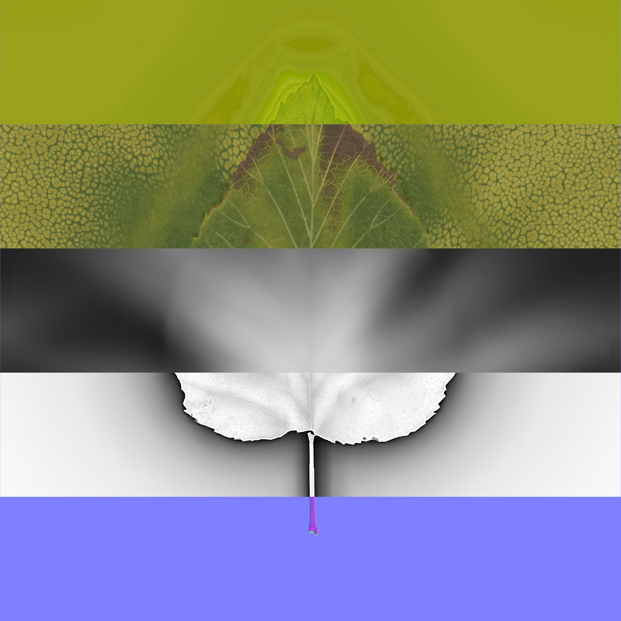 Birch Texture Maps
