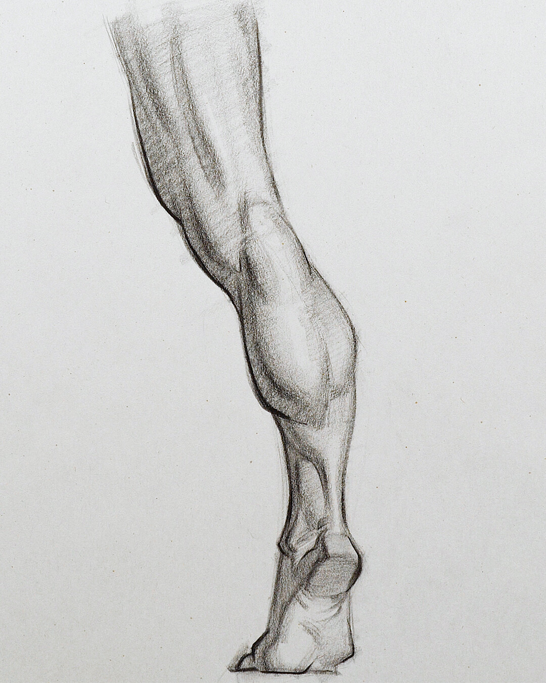 Stan Prokopenko - Drawing The Calves