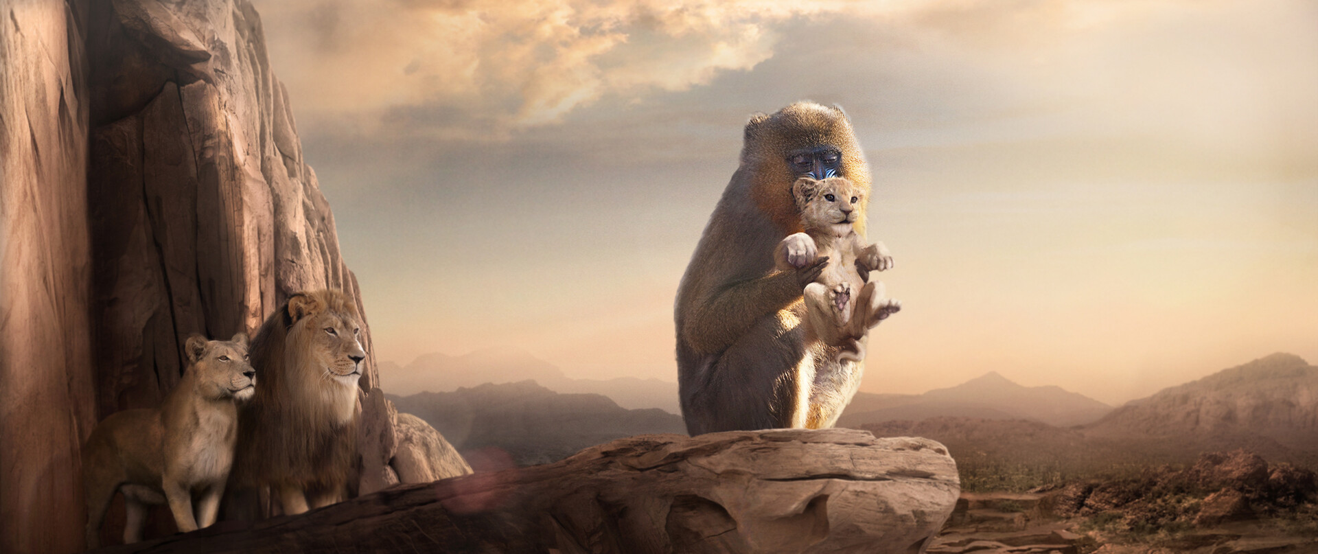 Aga Nieroda The Lion King