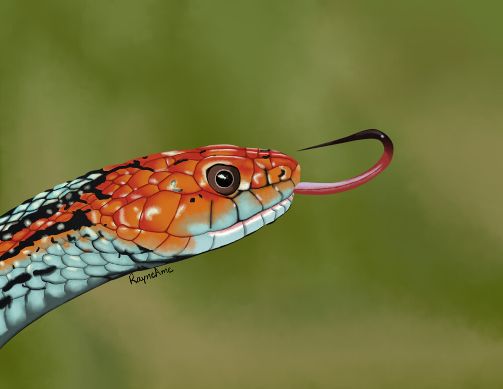 Snake realistic sales
