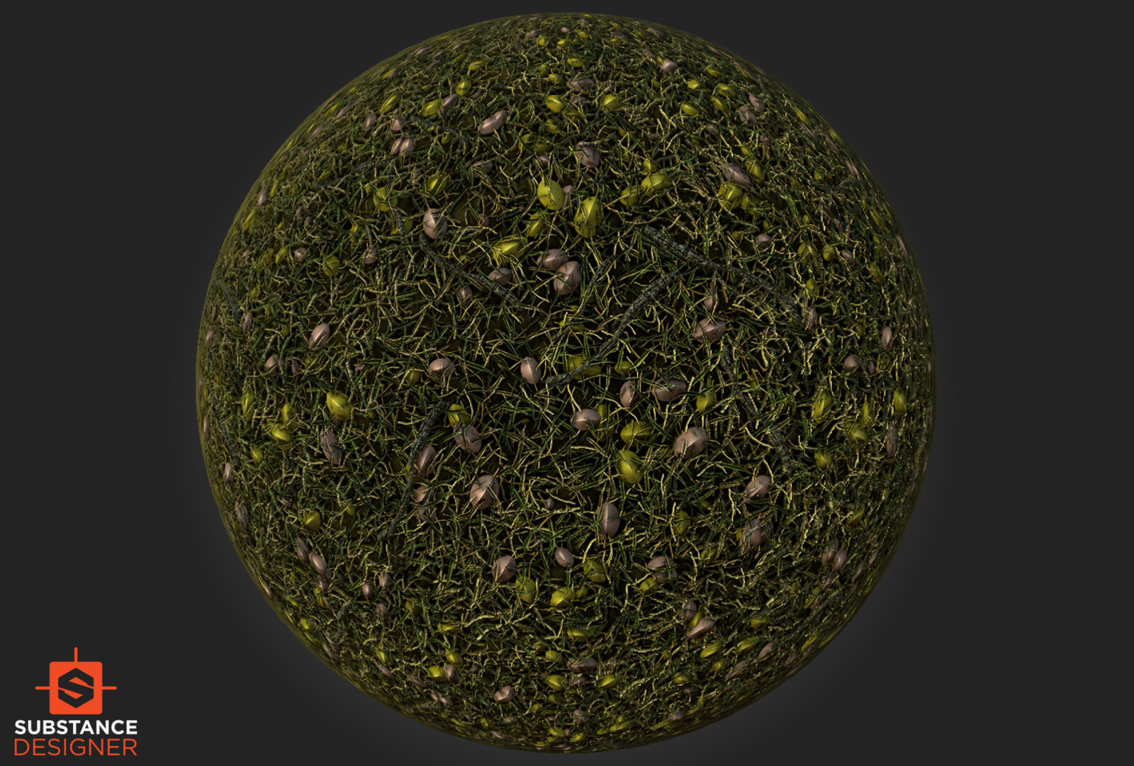 Grass 