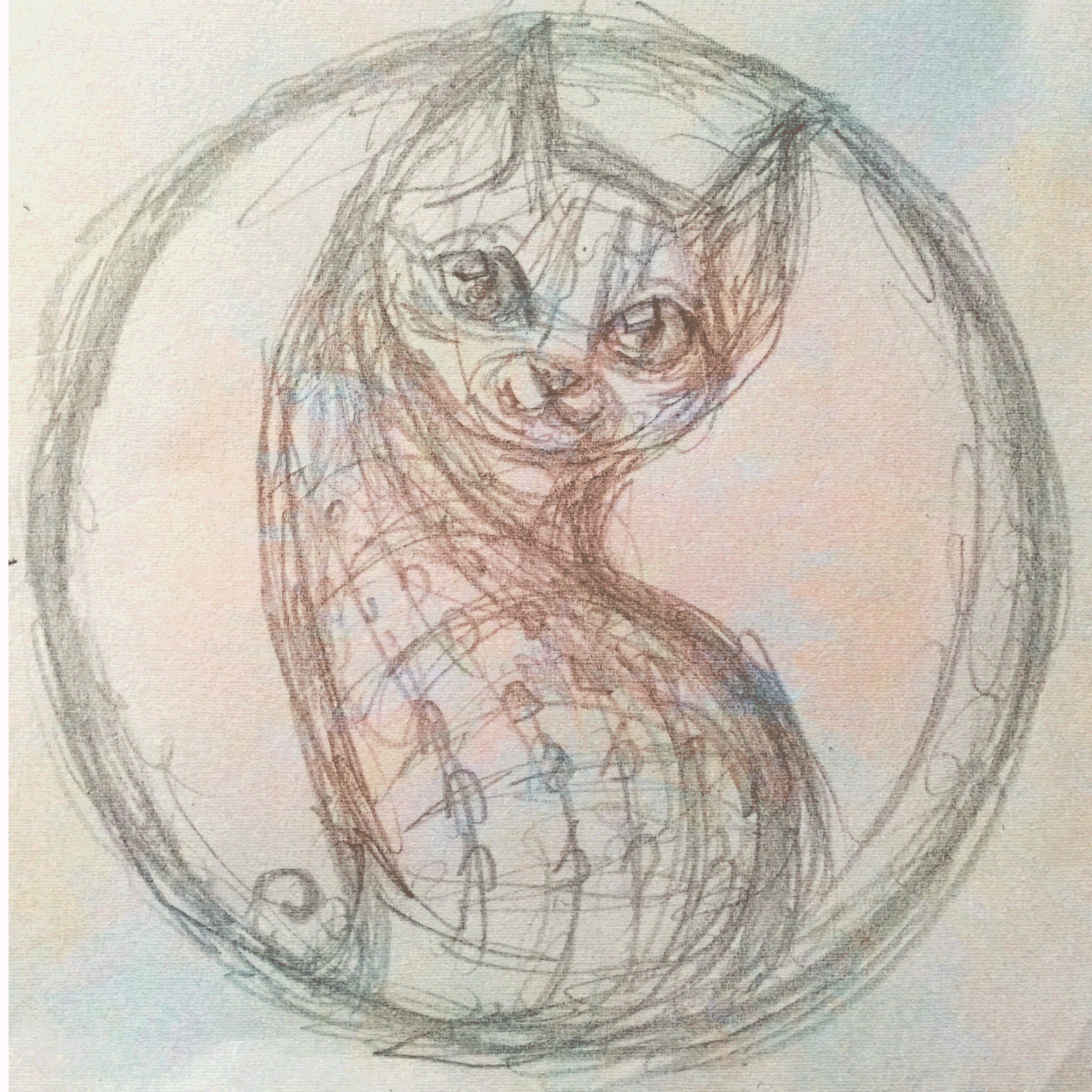 Leopard Cat - Rough