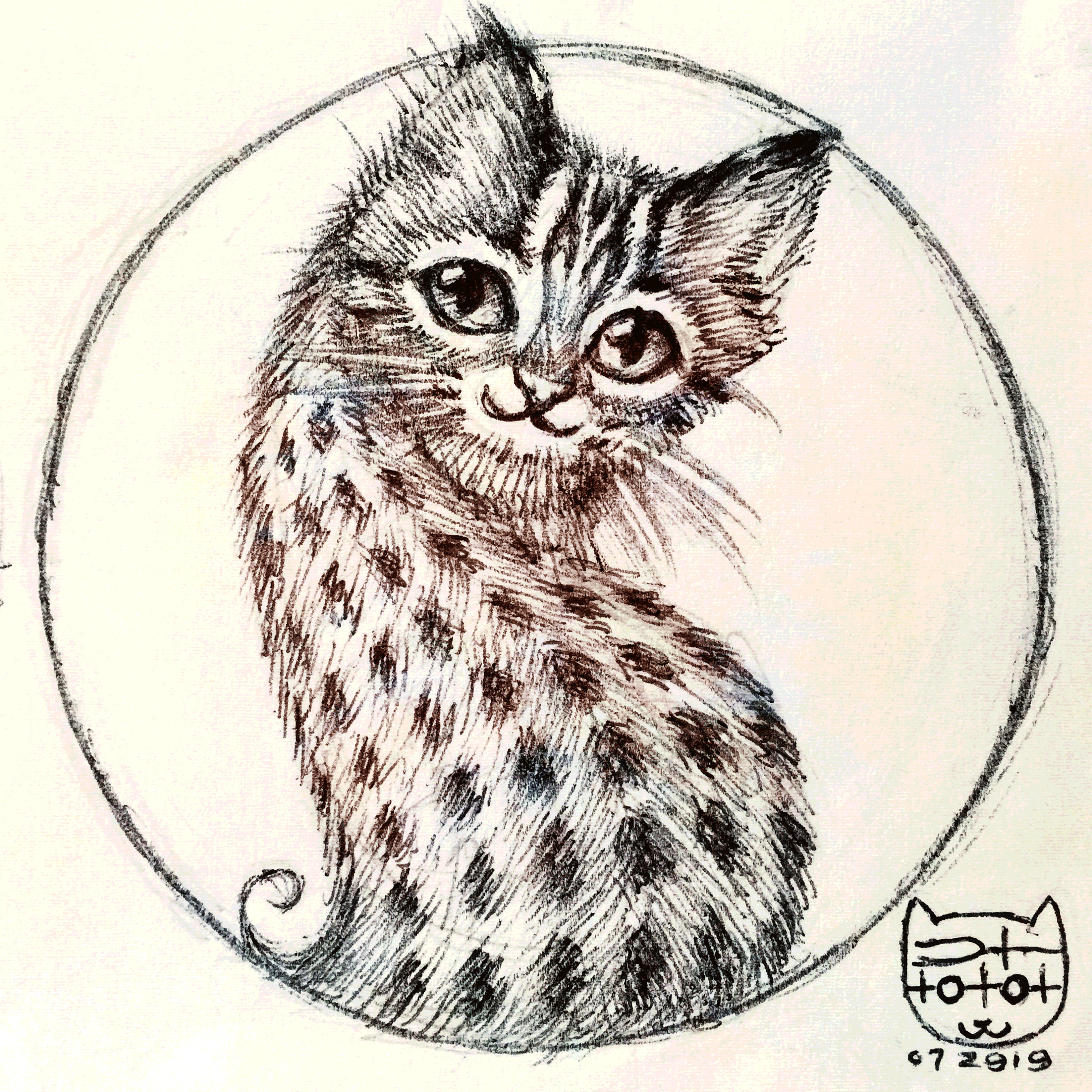 Leopard Cat - Sketch