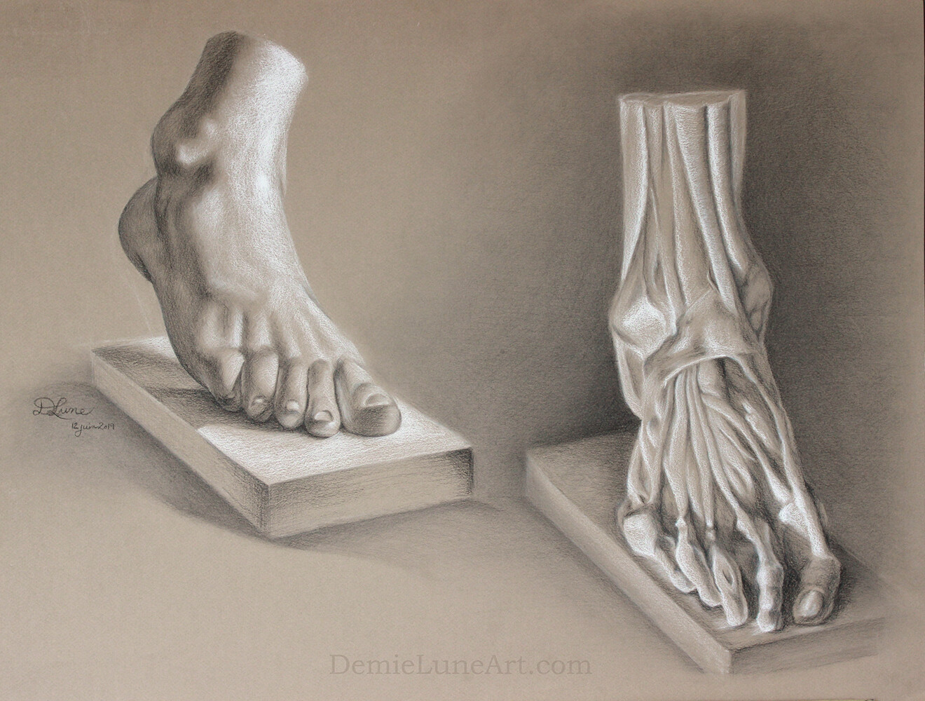 ArtStation Anatomy study The foot