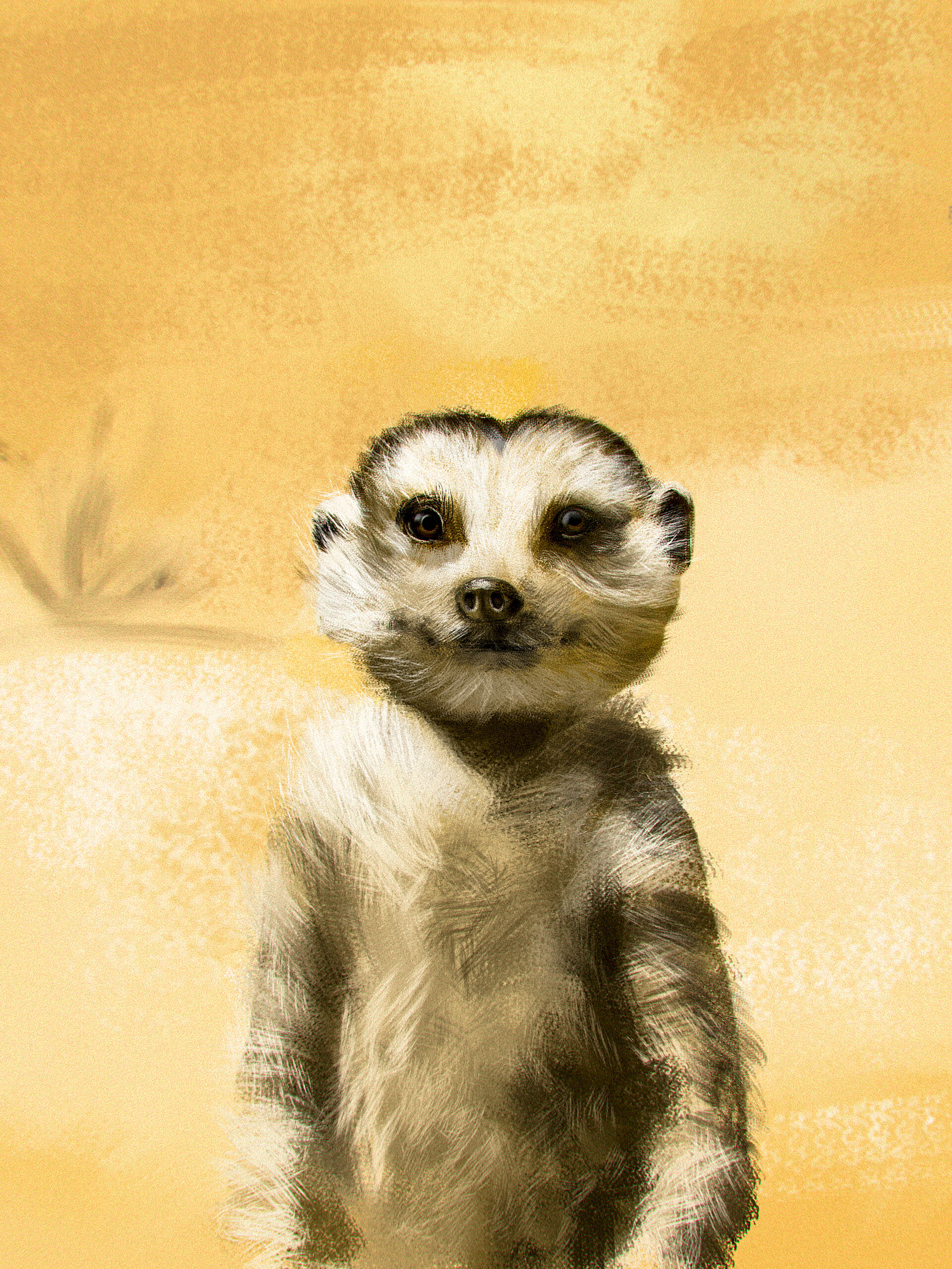 Artstation The Lion King Timon Nagarajan Kavitha