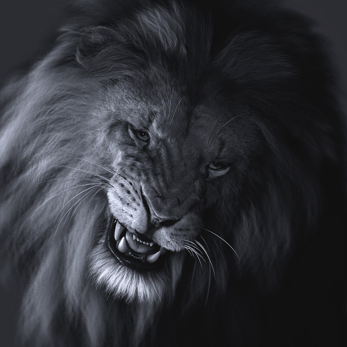 New Lion mesh - morph test