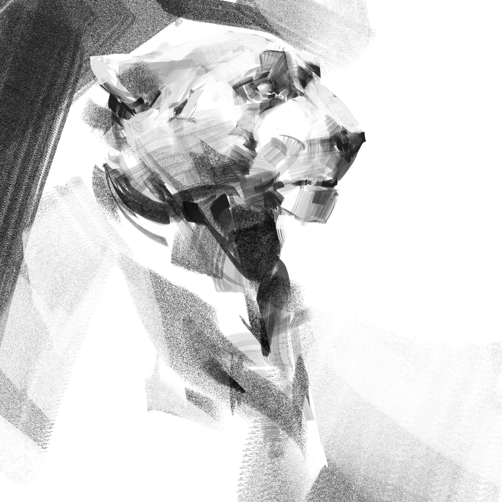 Feline Studies