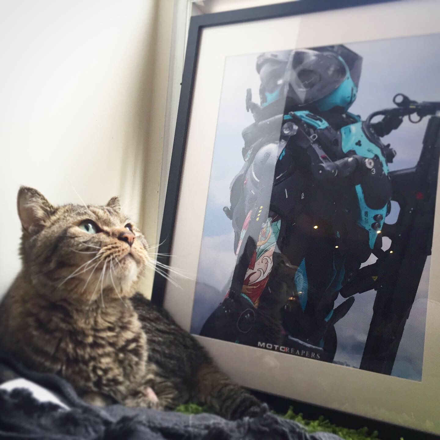 Print available on Artstation's Print Store! Cat approved.
