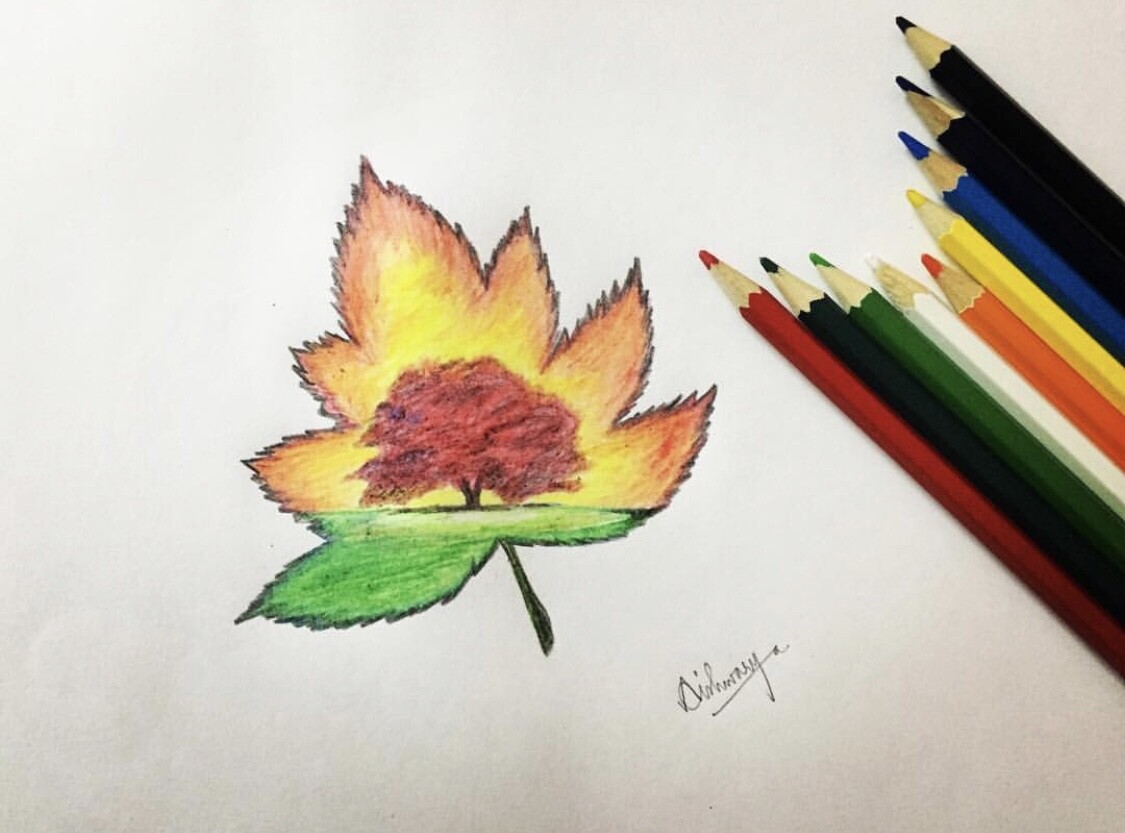 Draw anything nature related in graphite or colored pencil by  Collettelabeau | Fiverr