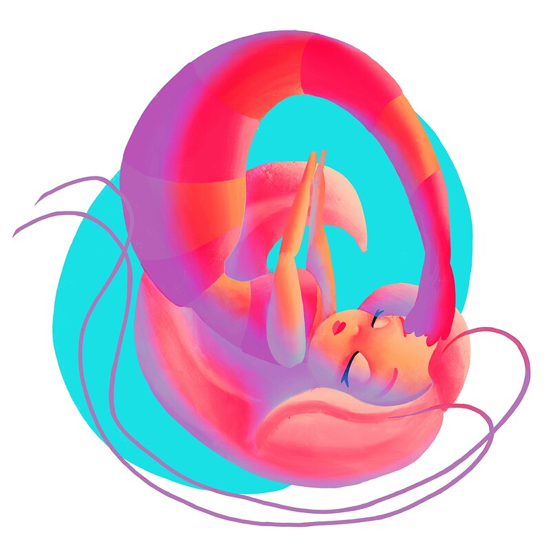 Day 24 - Shrimp