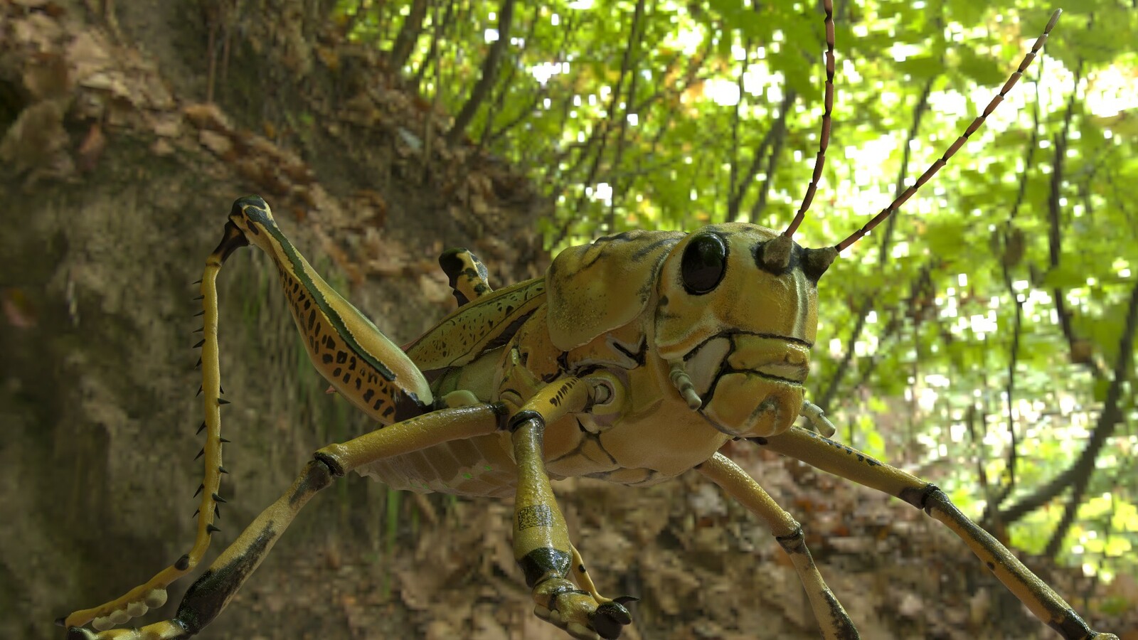 Artstation Grasshopper Cody Li