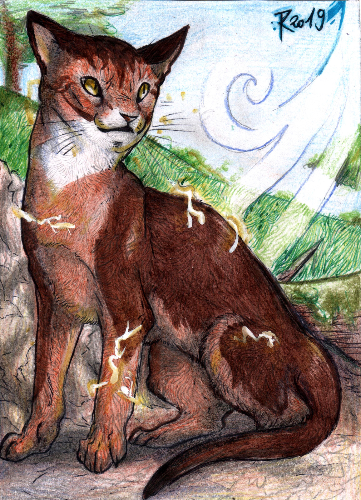 Another ArtFight attack! This beautiful Abyssinian cat who has control over wind and electricity is Howling Wind, a character that belongs to Xxrosethestormxx. Drawn with colored pencils and pen.