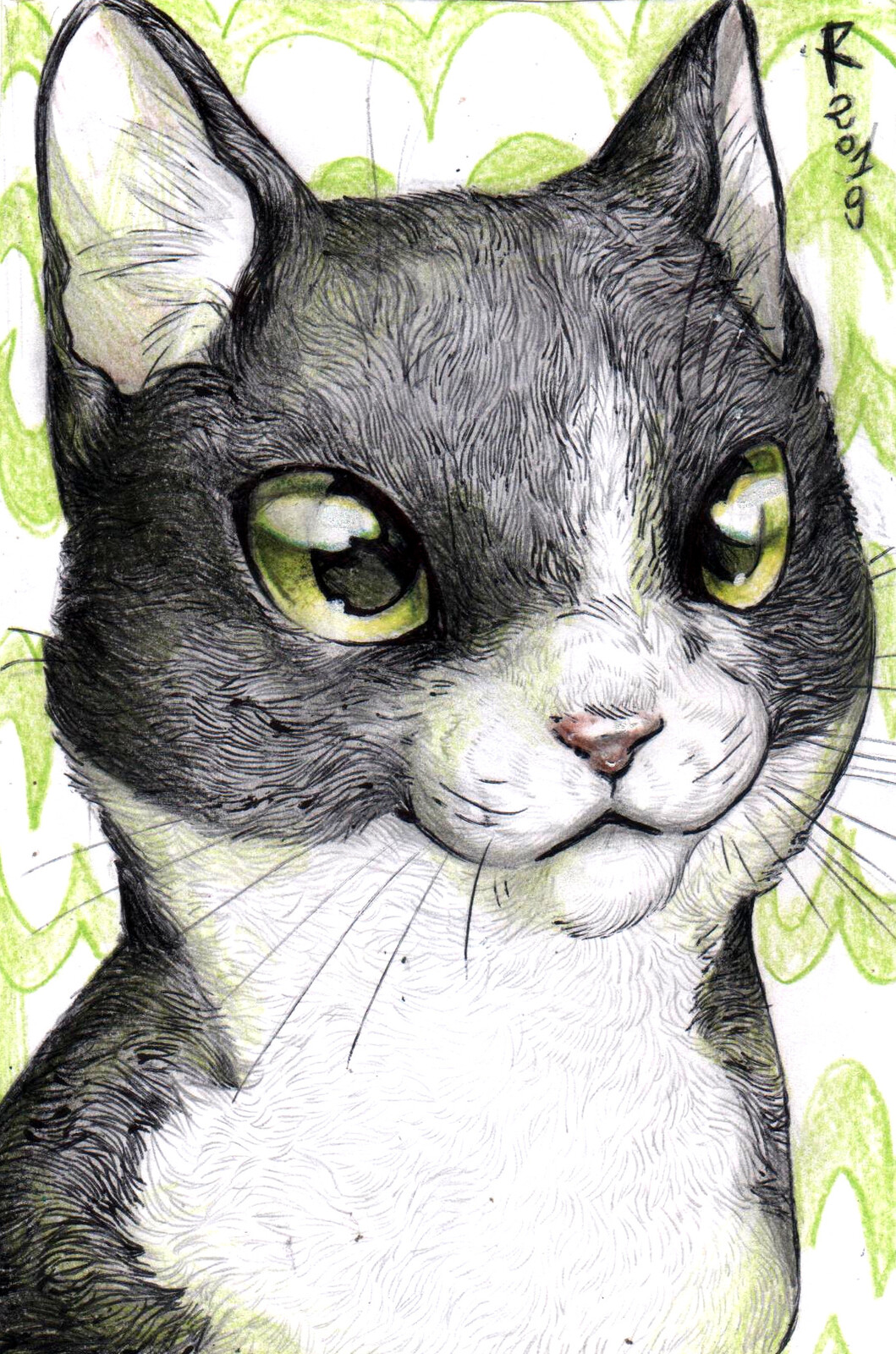 Another ArtFight attack! Portrait of Amy, a beautiful black and wjite cat that belongs to Smilofelinae. Drawn with colored pencils and pen.

