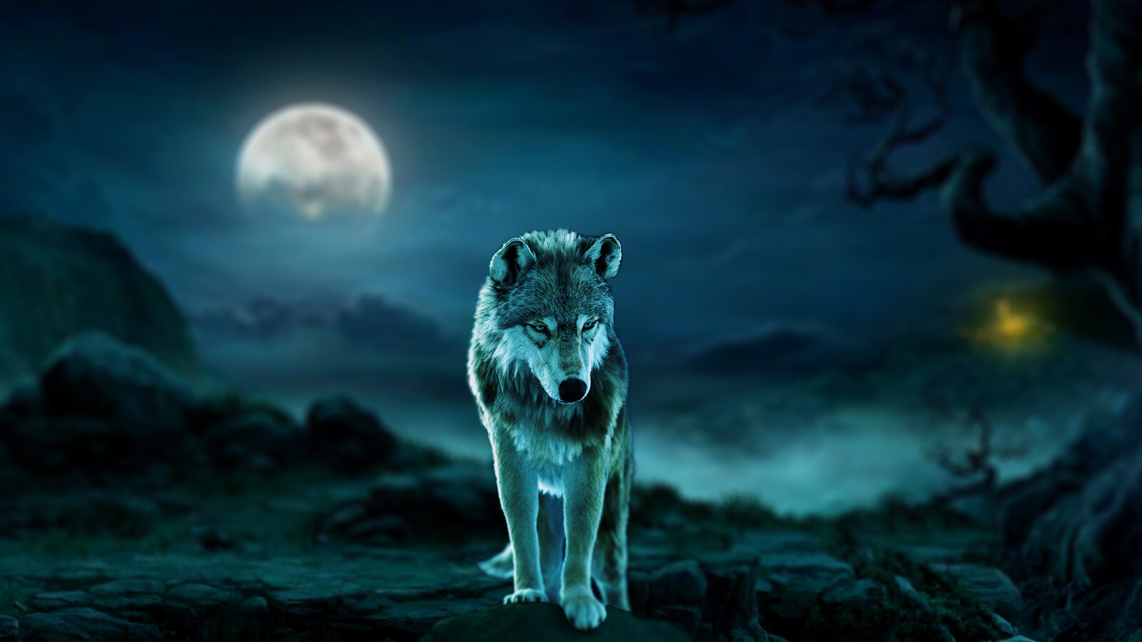 Artstation Dire Wolf In Moonlight Amanz Galzor