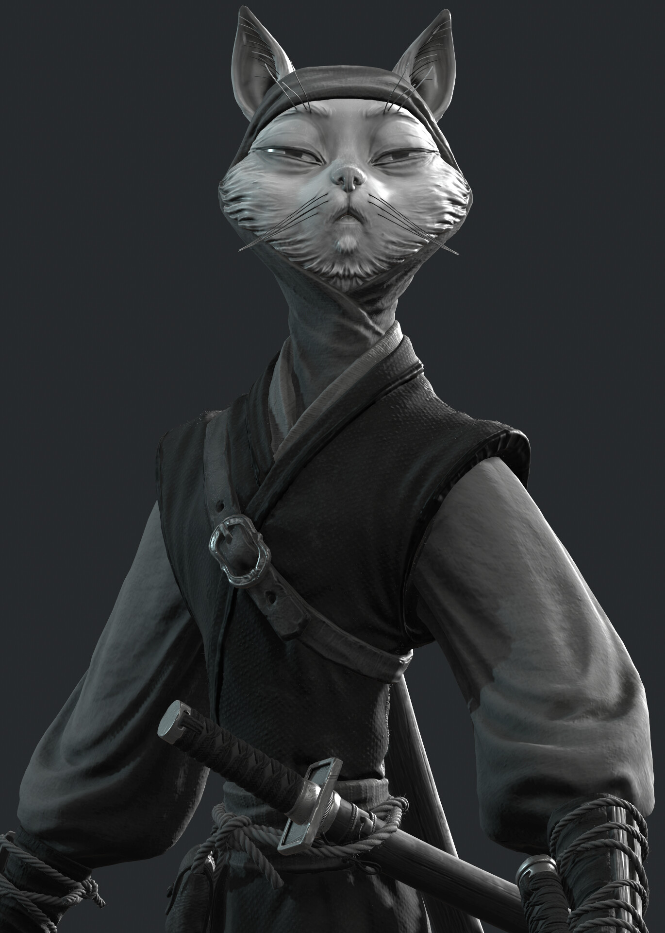Cat Ninja لم يسبق له مثيل الصور Tier3 Xyz