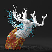 Artstation Cgma Abstract Effects In Houdini Summer 2018