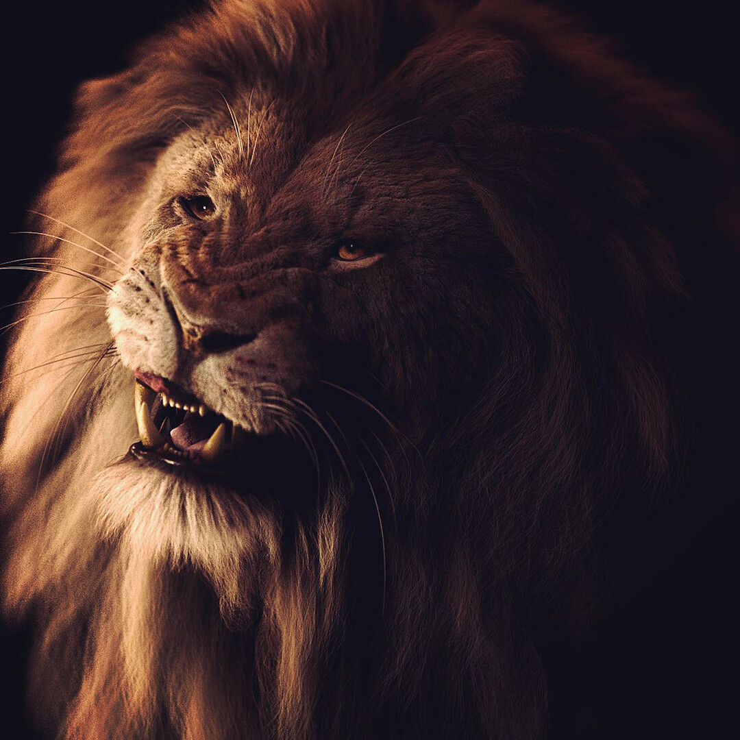 Lion face’s morph (different angle) 