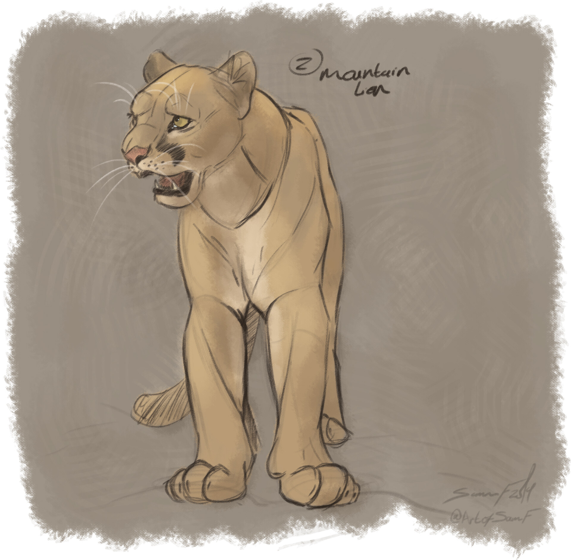 Sam F Mountain Lion