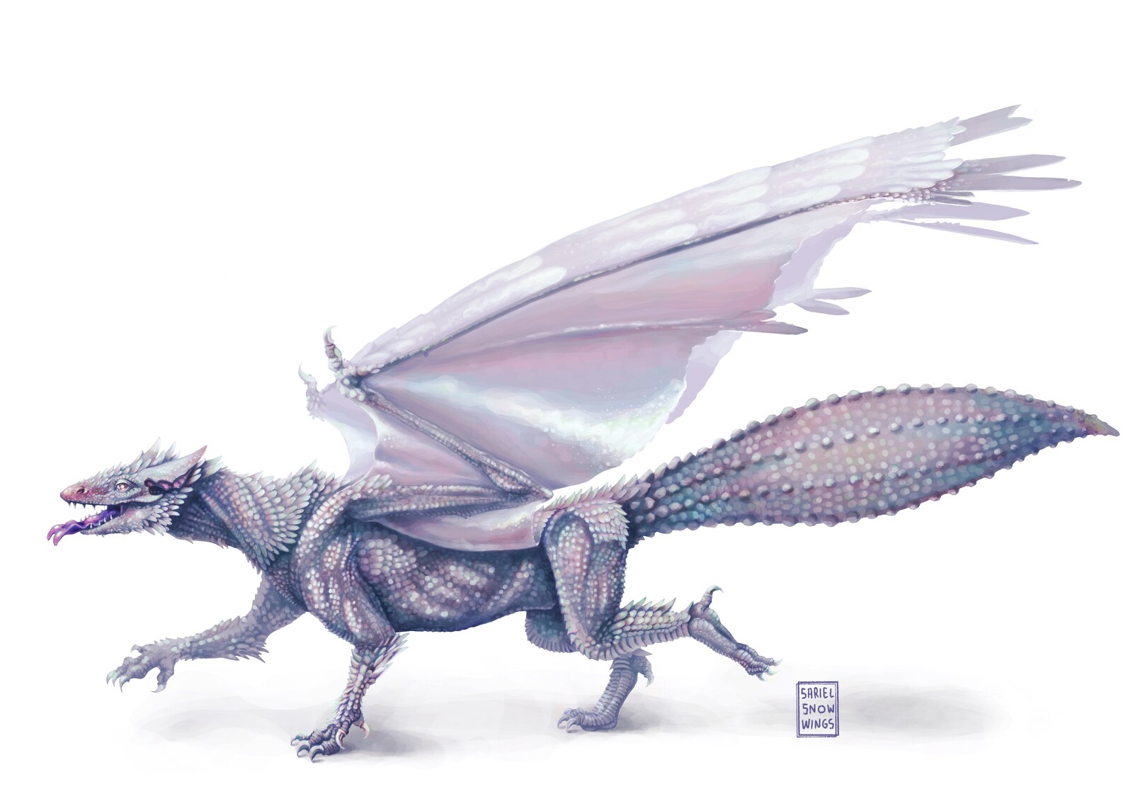 Main image in a white background. I worked hard to make him look white even though there’s barely any pure white in his body. I also love how the iridescence shows up in the final piece.