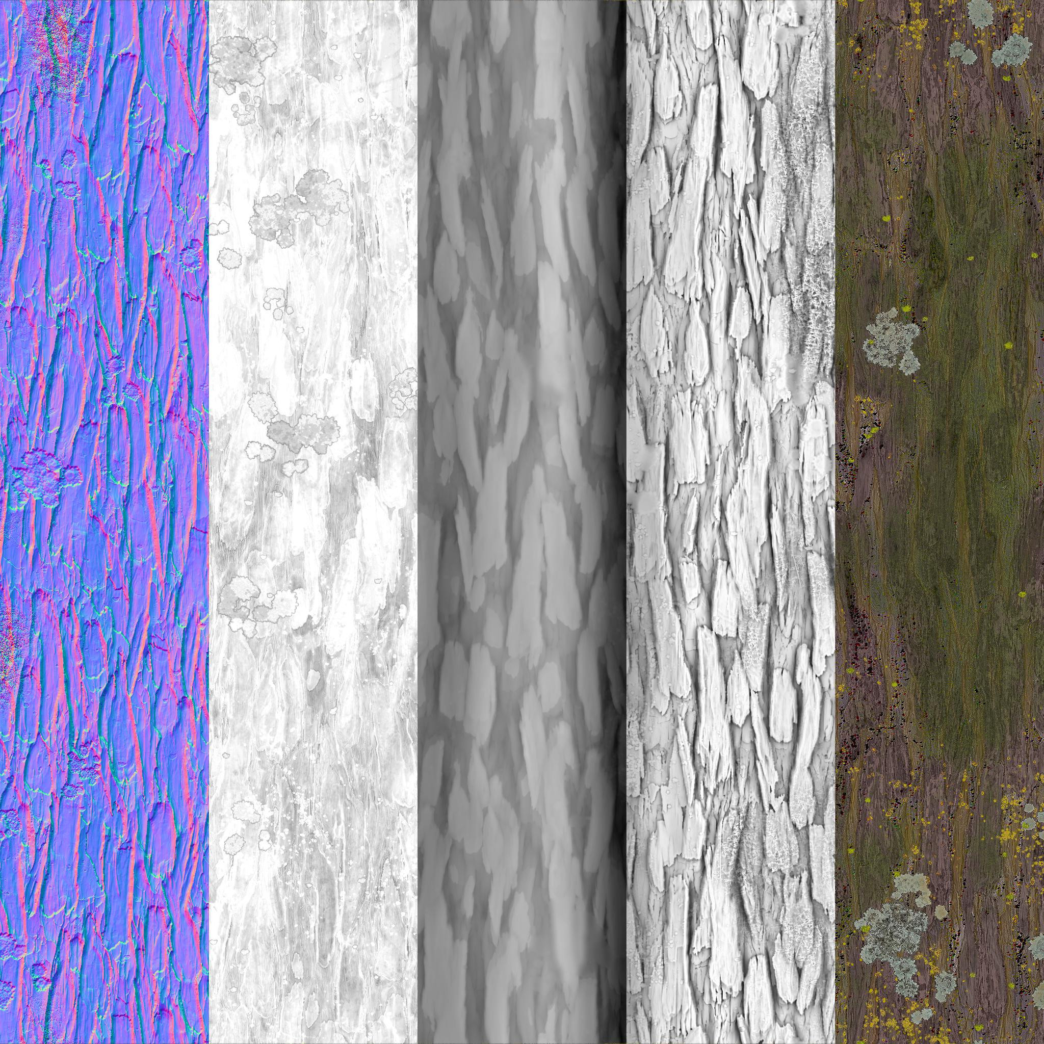 Pine Tree 01 Maps