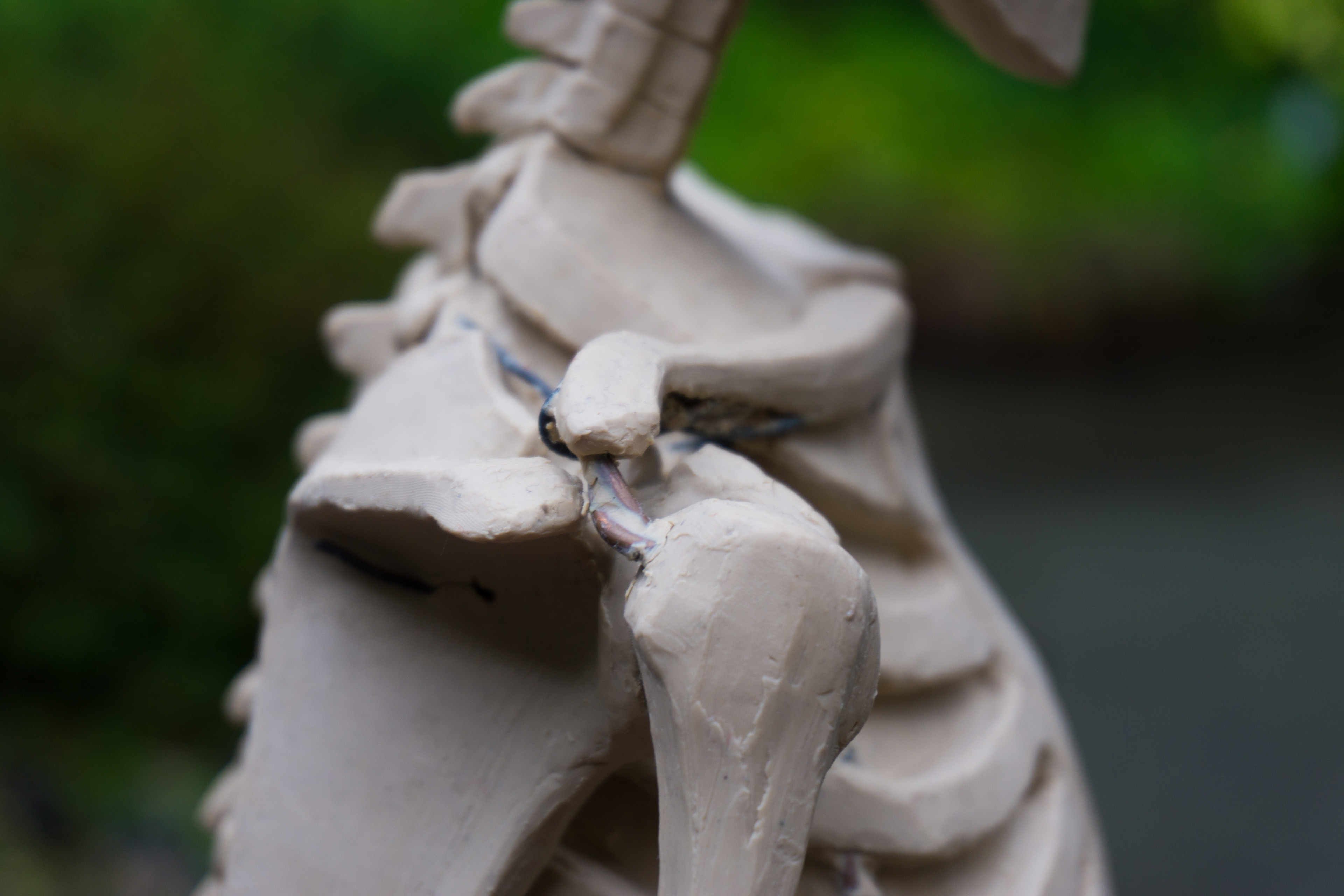 Travis Smith - Half-life sized Skeleton