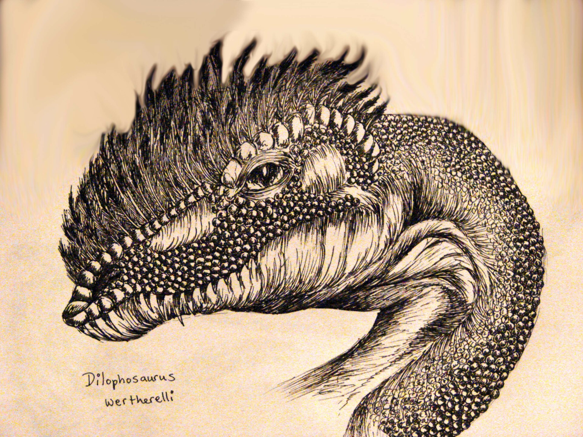 Artstation Dilophosaurus Wetherelli Margaret Maidment