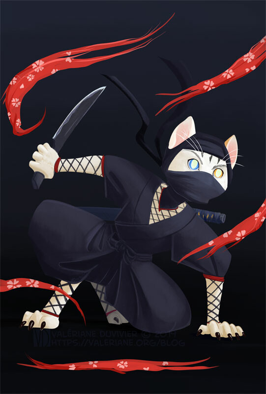 Character design challenge : Ninja cat