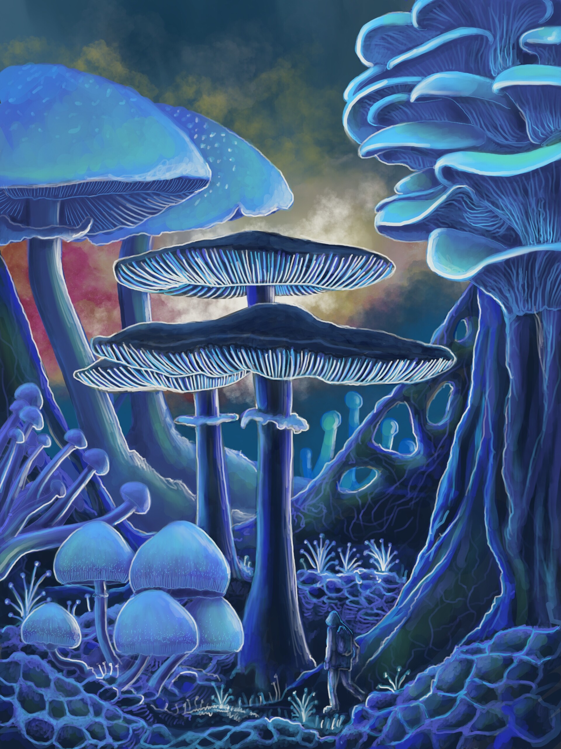 Mushroom Dream: Uncover the Health Benefits and Mystical Properties