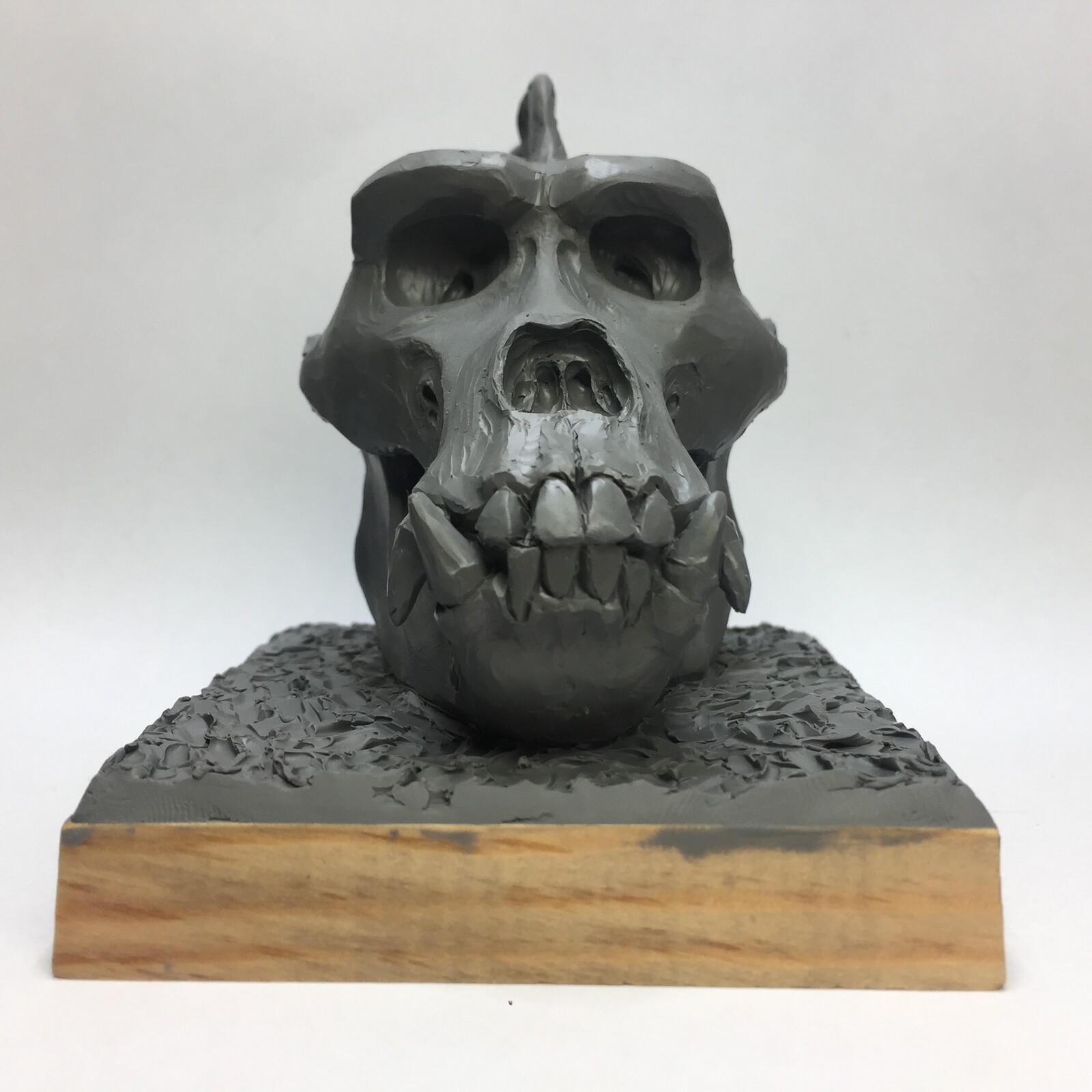  Just for fun and practicing knowledge about the gorilla skull. Would you like to have such a small part of the reference on your shelf?