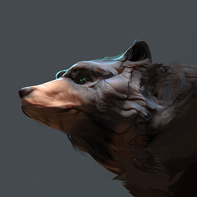 Tyler smith bearsketch01