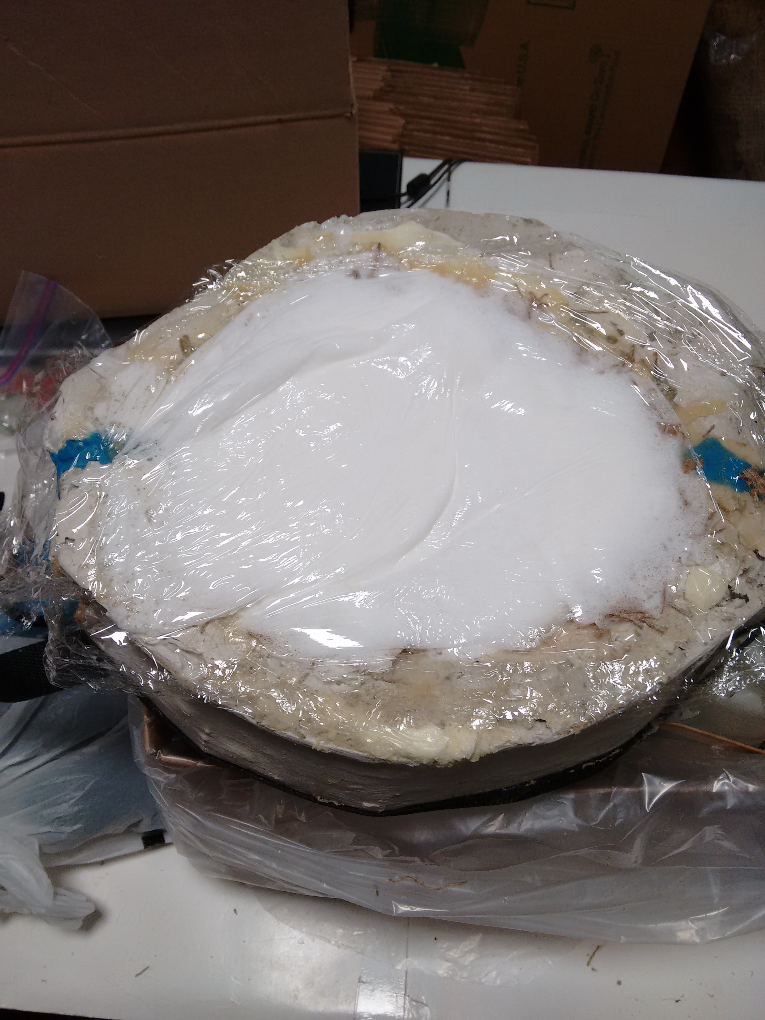 Filling the inside of the head with expanding foam.