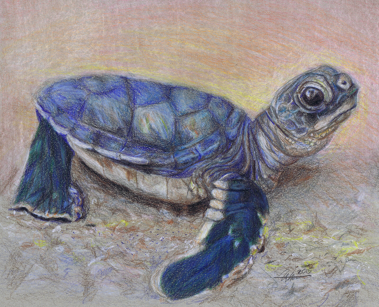 Turtle