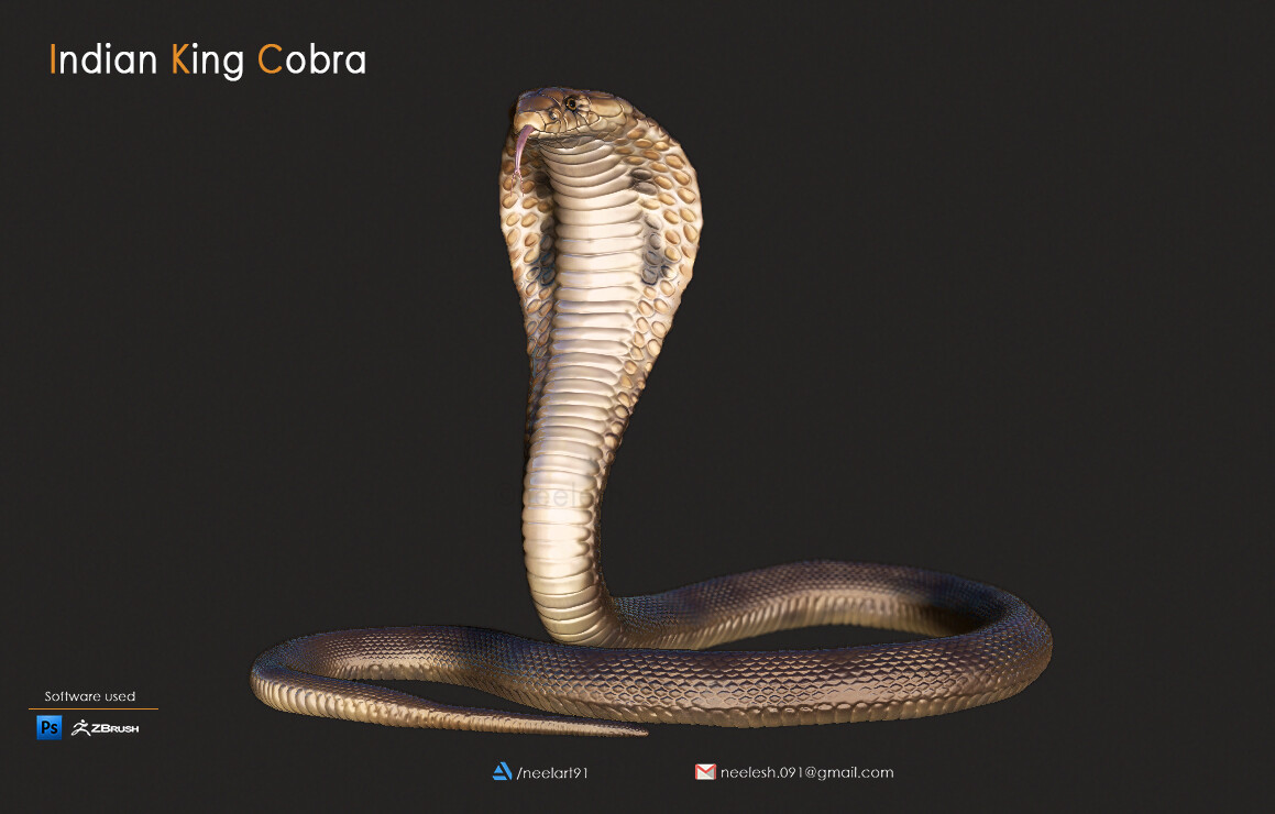 indian king cobra neelesh kumar