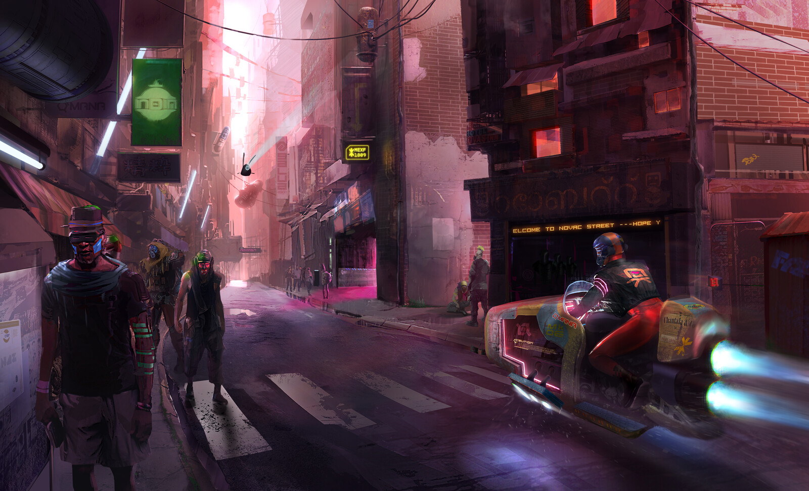 Novac Street