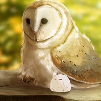Artstation アメリカキンメフクロウと秋 たんけ のアトリエ Artstation アメリカキンメフクロウと秋 たんけ のアトリエ