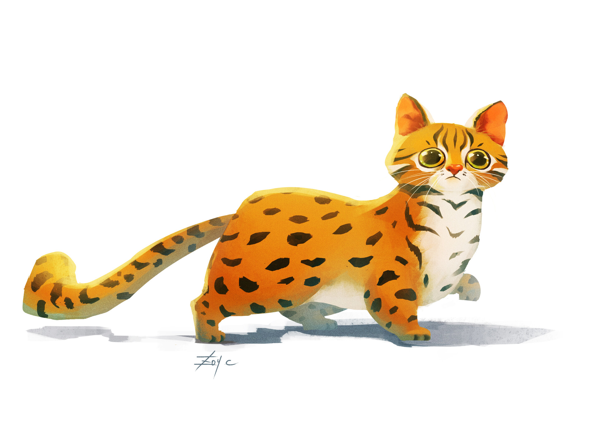 Taiwan best sale leopard cat