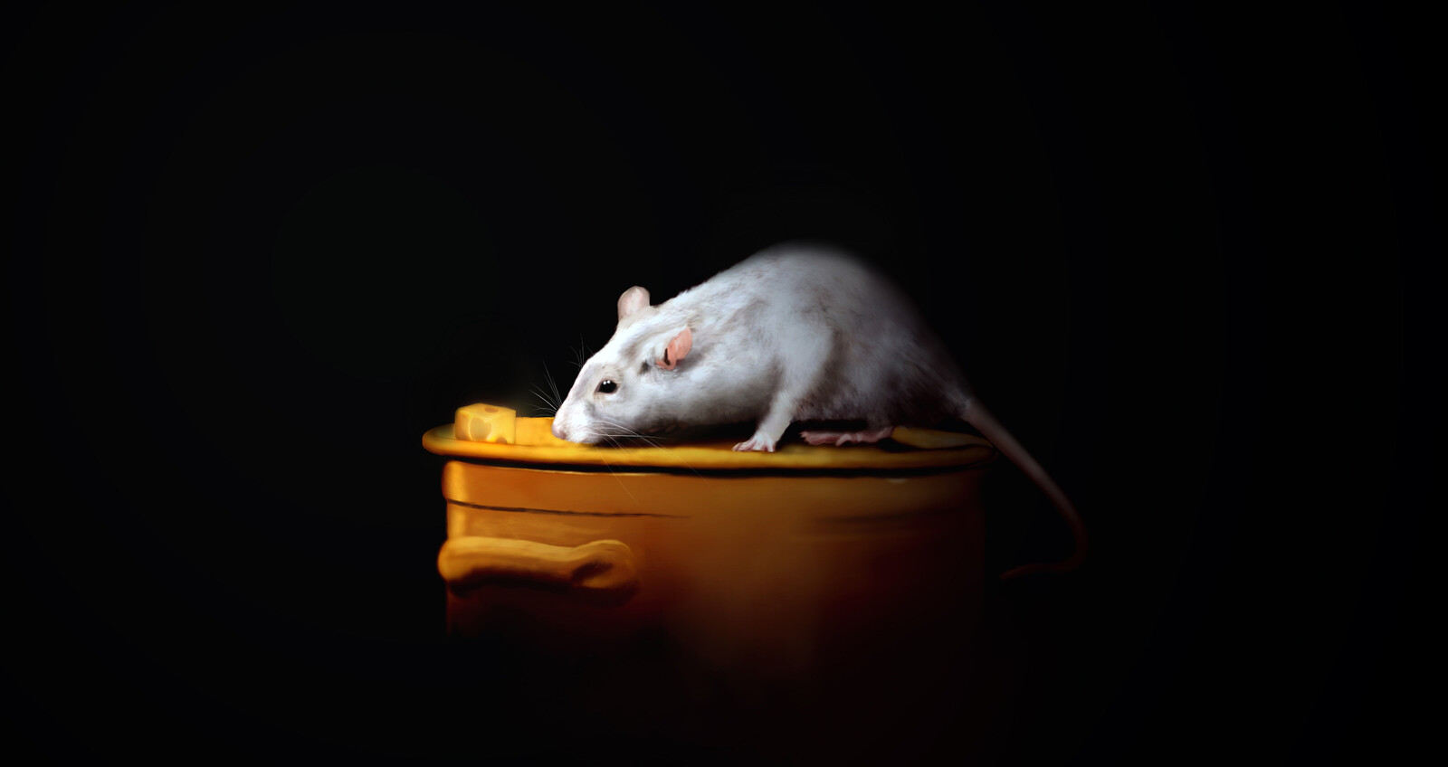 Rat illustration