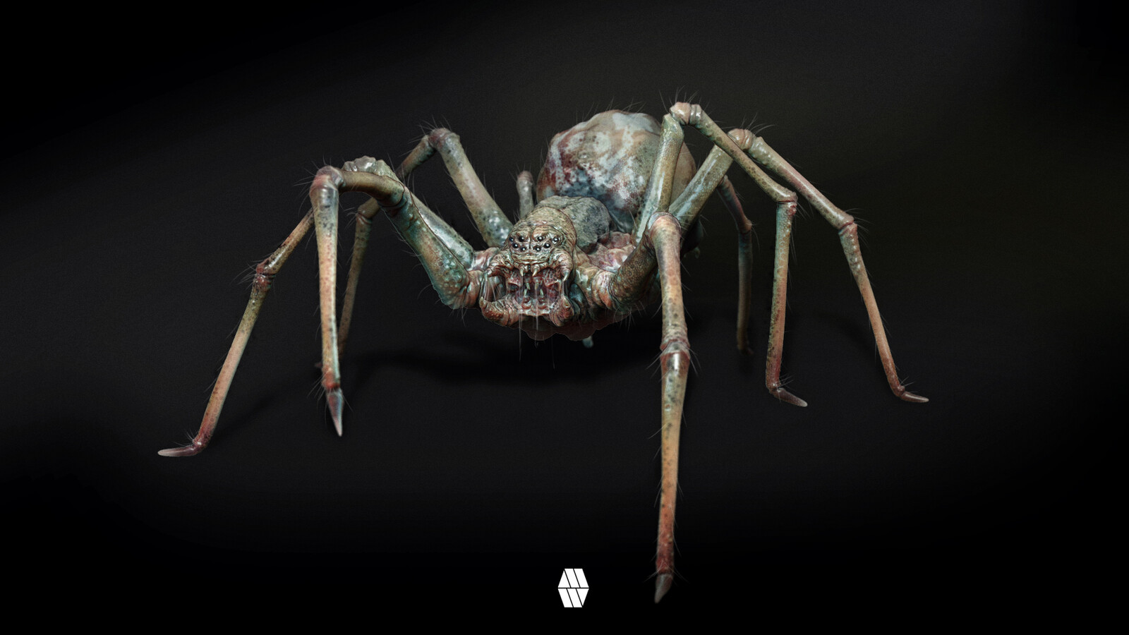 "ATTICA ATTICA" .... Spider Concept 
