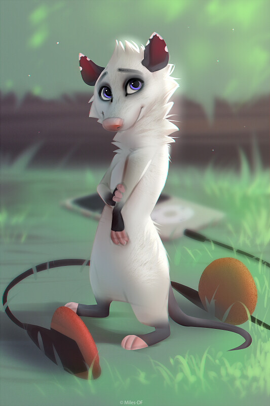 Miles Df Possum Girl They make us laugh and they make us cry, nothing feels better than watching our favorite famous cartoon characters. miles df possum girl