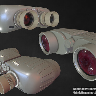 Shannon williams binocularspresentation