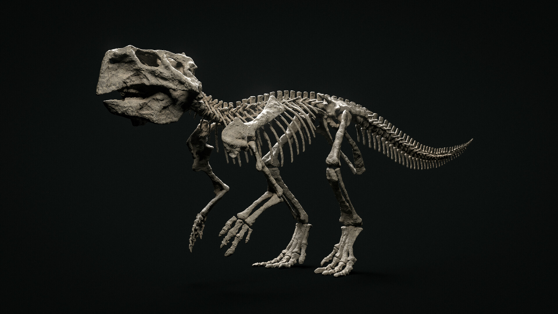 psittacosaurus skeleton