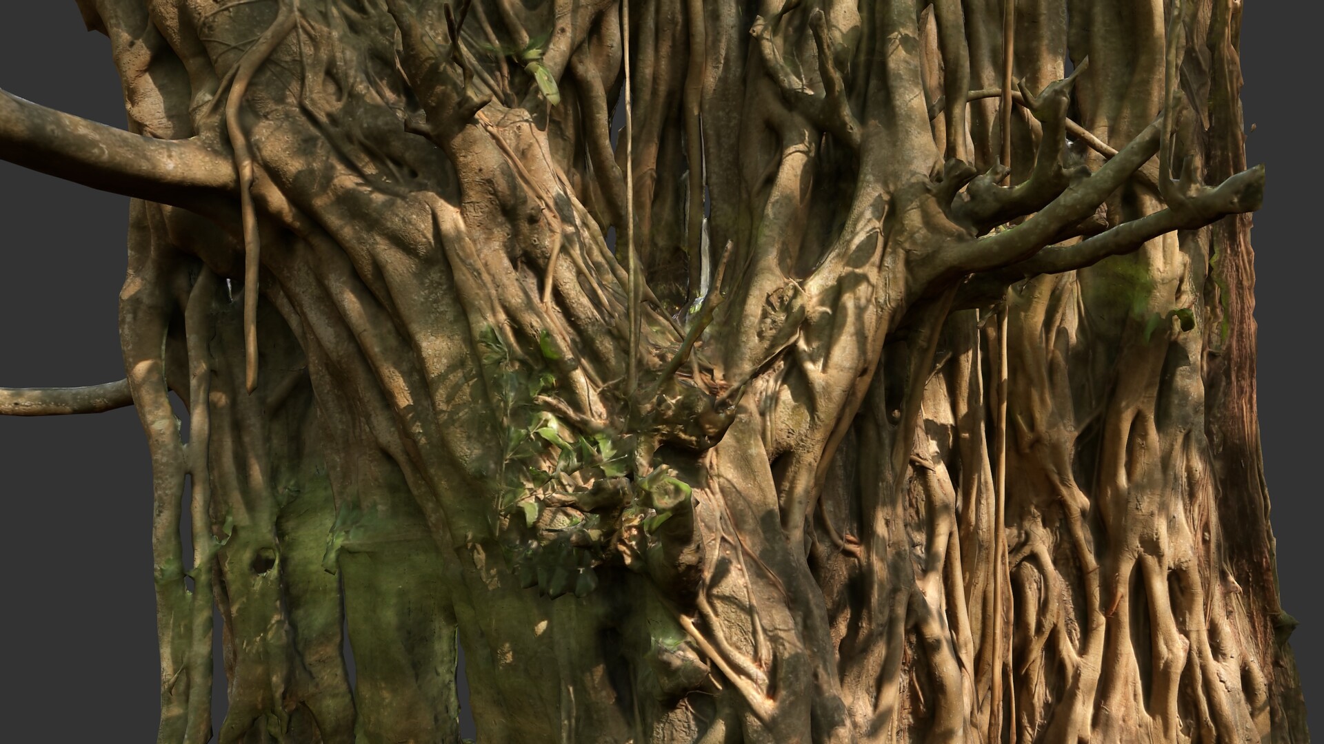 Artstation Banyan Tree Trunk Dmytro Dokunov