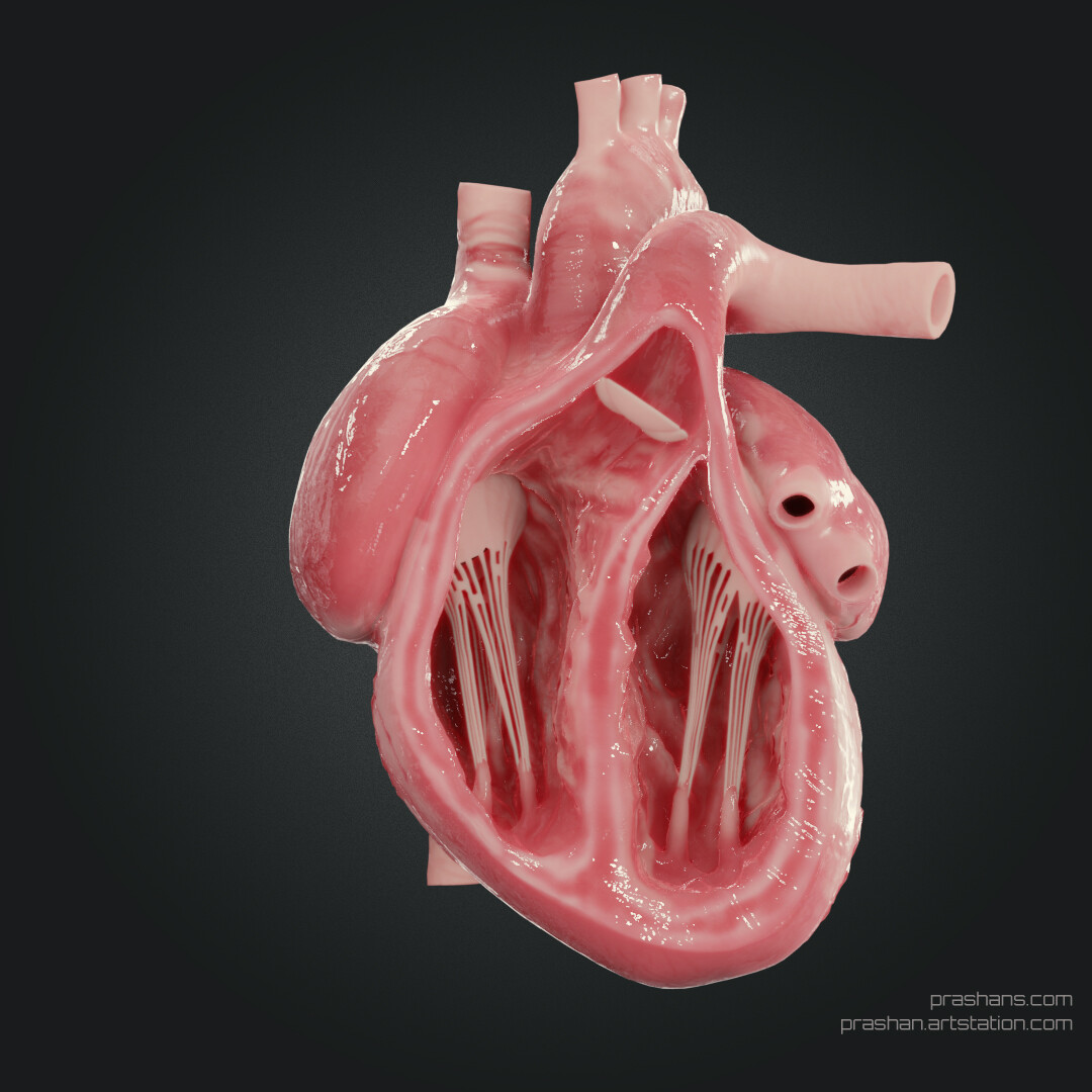 3D artist Prashan Subasinghe - Realistic Heart