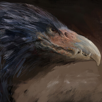 Antonio j manzanedo dragon bird manzanedo