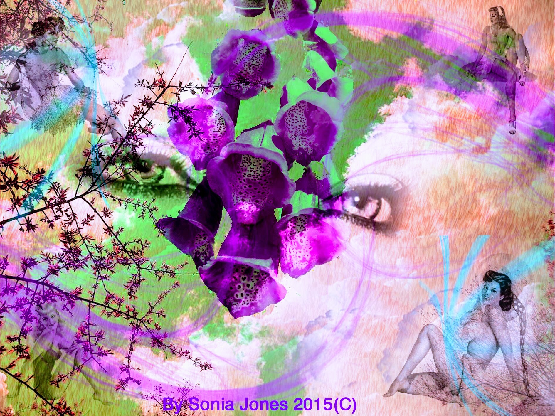 Sonia Jones Abstract
